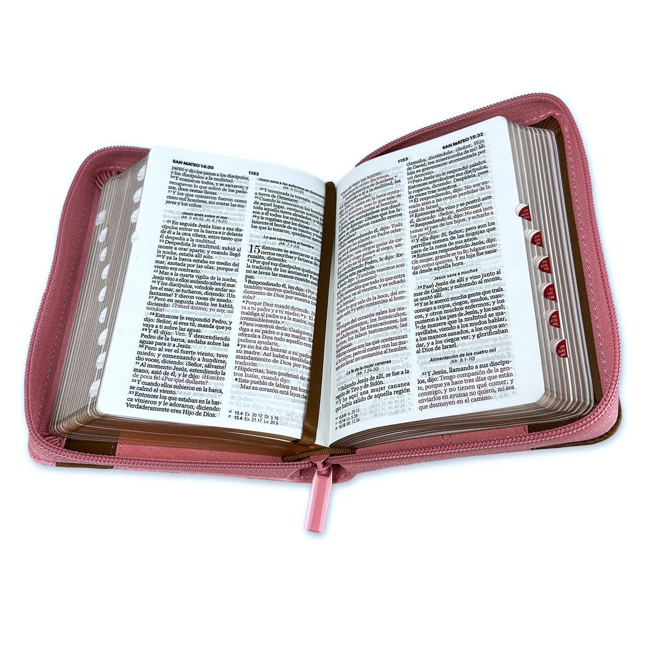 Biblia de Bolsillo RV1960 Rosa/Café 3 Biblia de Bolsillo RV1960 Rosa/Café - Image 3