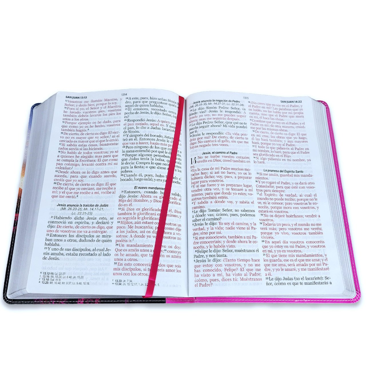 Biblia Letra Gigante 15 puntos RV1960 Piel Árbol 3 Biblia Letra Gigante 15 puntos RV1960 Piel Árbol - Image 3