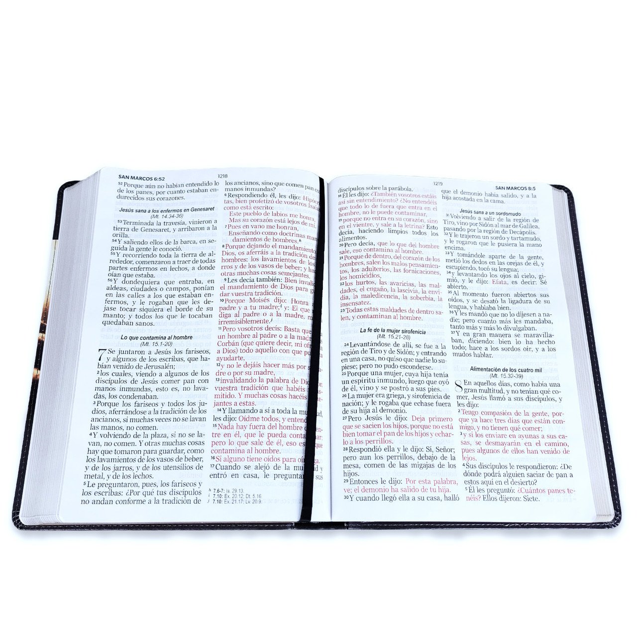 Biblia Letra Gigante 15 puntos RV1960 Buen Pastor 3 Biblia Letra Gigante 15 puntos RV1960 Buen Pastor - Image 3