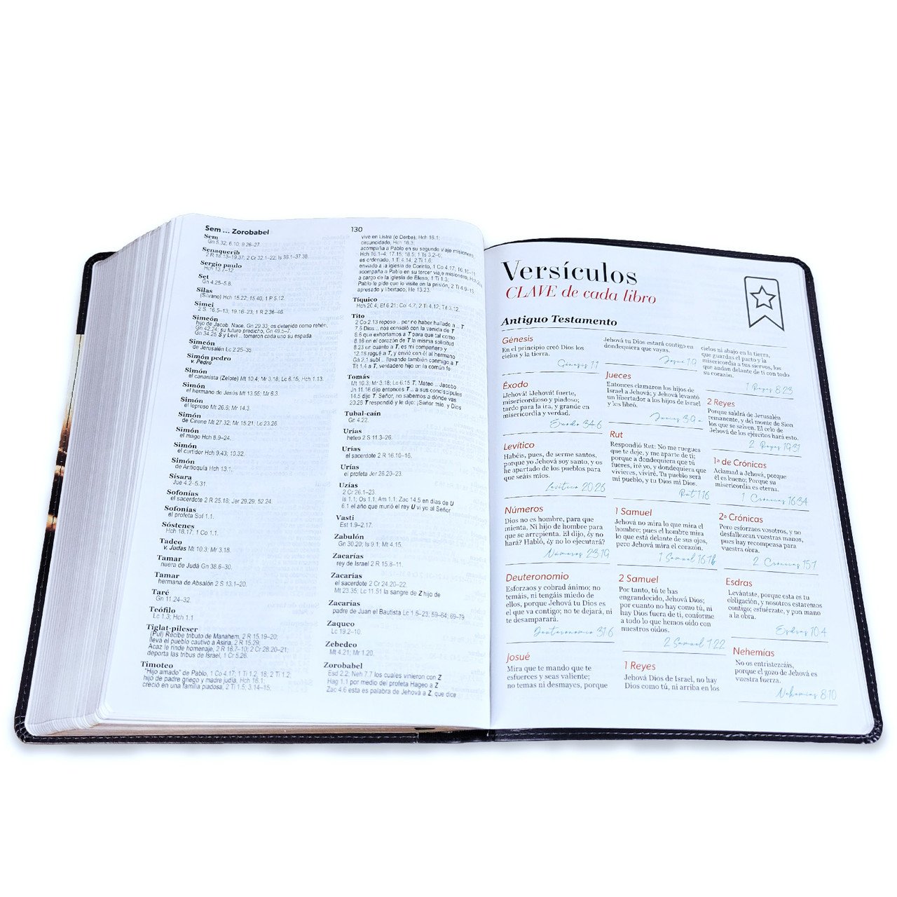 Biblia Letra Gigante 15 puntos RV1960 Buen Pastor 2 Biblia Letra Gigante 15 puntos RV1960 Buen Pastor - Image 2