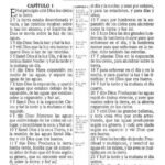 RV 1909 Biblia clásica imitación piel – imagen 2