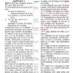 RV 1909 Biblia clásica imitación piel – imagen 3