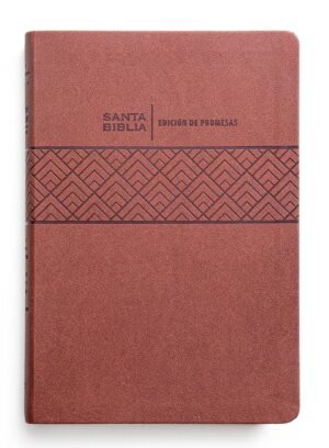 RVR 1960 de Promesas Letra Gigante