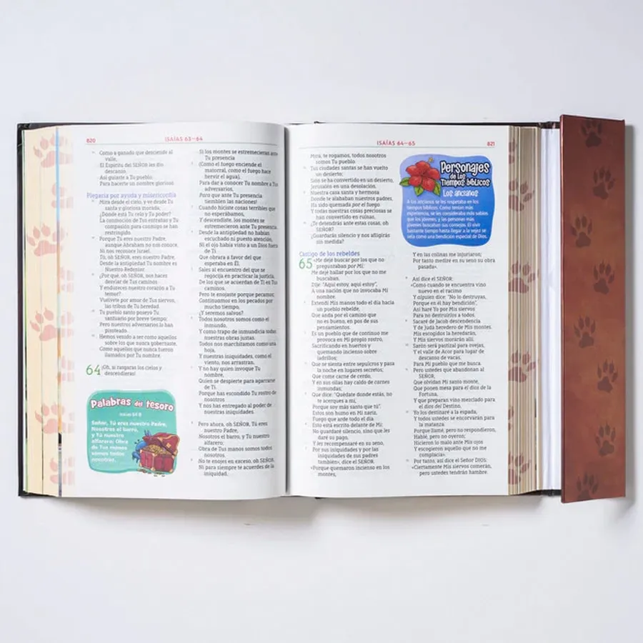 Biblia Aventura/NBLA/Leon/Tapa Dura/Cierre Magnético/Interior A Color 5 Biblia Aventura/NBLA/Leon/Tapa Dura/Cierre Magnético/Interior A Color - Image 5