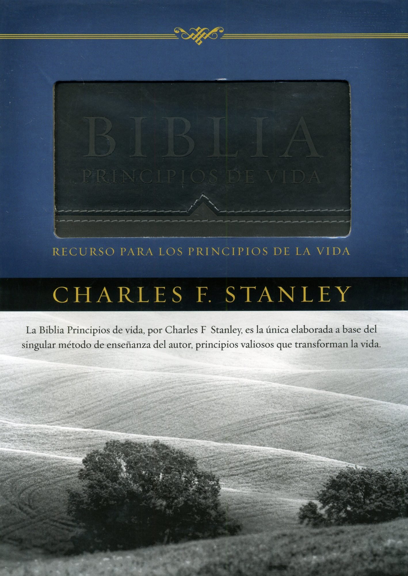 Biblia Principios de Vida Stanley 1 Biblia Principios de Vida Stanley