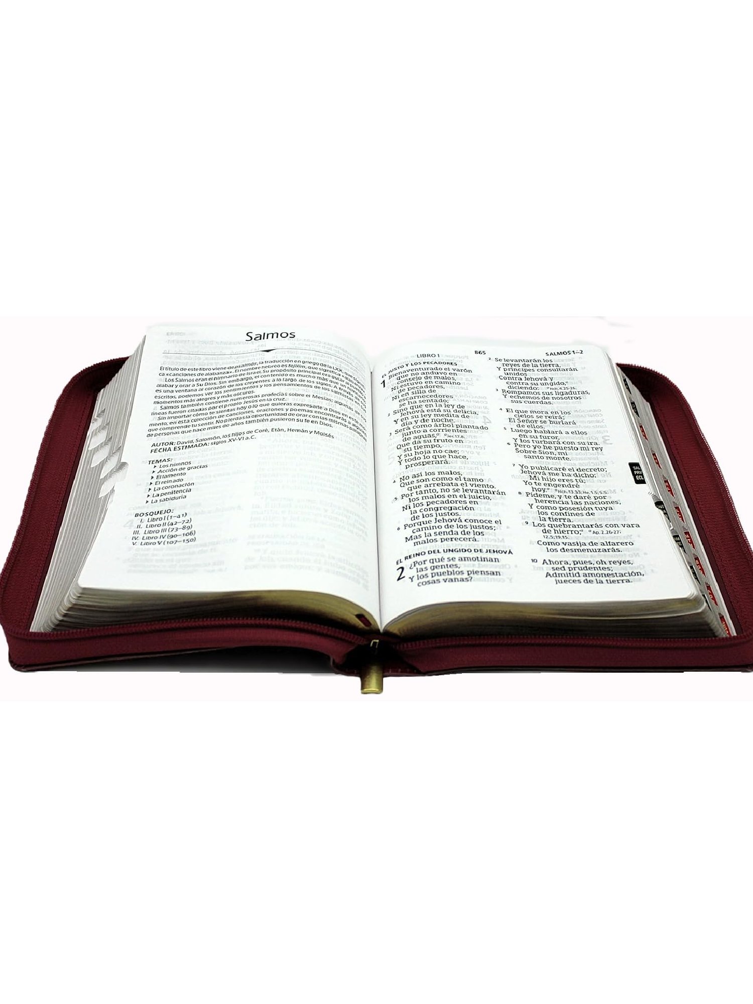 Biblia para Mujeres Letra Gigante, Tamano Manual. Con Cierre e Índice, Símil Piel, Granada Con Flores, RVR 1960 2 Biblia para Mujeres Letra Gigante, Tamano Manual. Con Cierre e Índice, Símil Piel, Granada Con Flores, RVR 1960 - Image 2