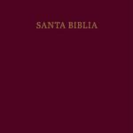 Biblia RVR 1960 Letra Súper Gigante Imitación Piel Borgoña con Índice