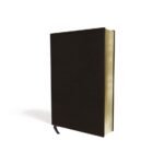 Biblia RVR 1960 NIV Bilingüe Símil Piel Negra – imagen 3