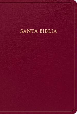 Biblia/RVR/1960 Letra/Grande Borgoña/2023