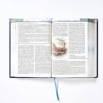 Biblia de Estudio Cronológica NBLA Tapa Dura – Interior a Cuatro Colores – imagen 9