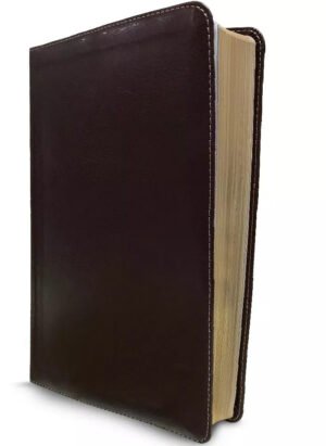 Biblia De Estudio Arco Iris Chocolate Simil Piel