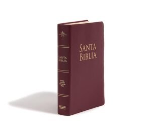 Biblia RVR 1960 Letra Grande Tamaño Manual Vinilo