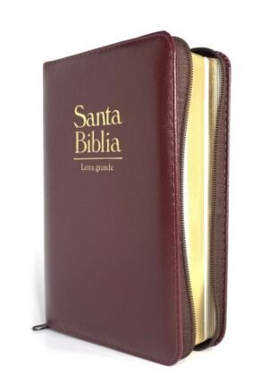 Biblia Reina Valera 1960 | Letra Grande | Vinotinto