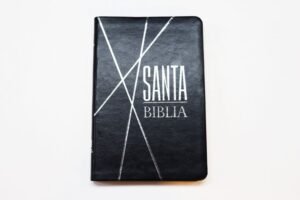 Biblia RVR066eLM Negro Canto Pintado Sin Cierre