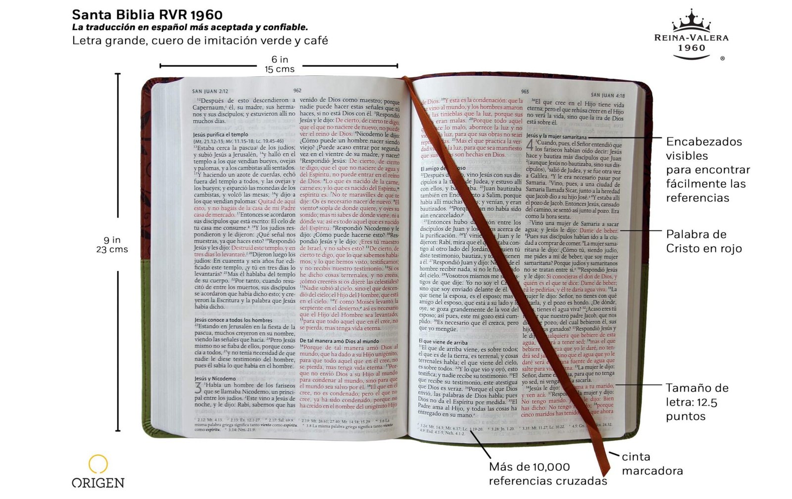 Biblia RVR1960 LG Imitacion Piel Verde-Marron 2 Biblia RVR1960 LG Imitacion Piel Verde-Marron - Image 2
