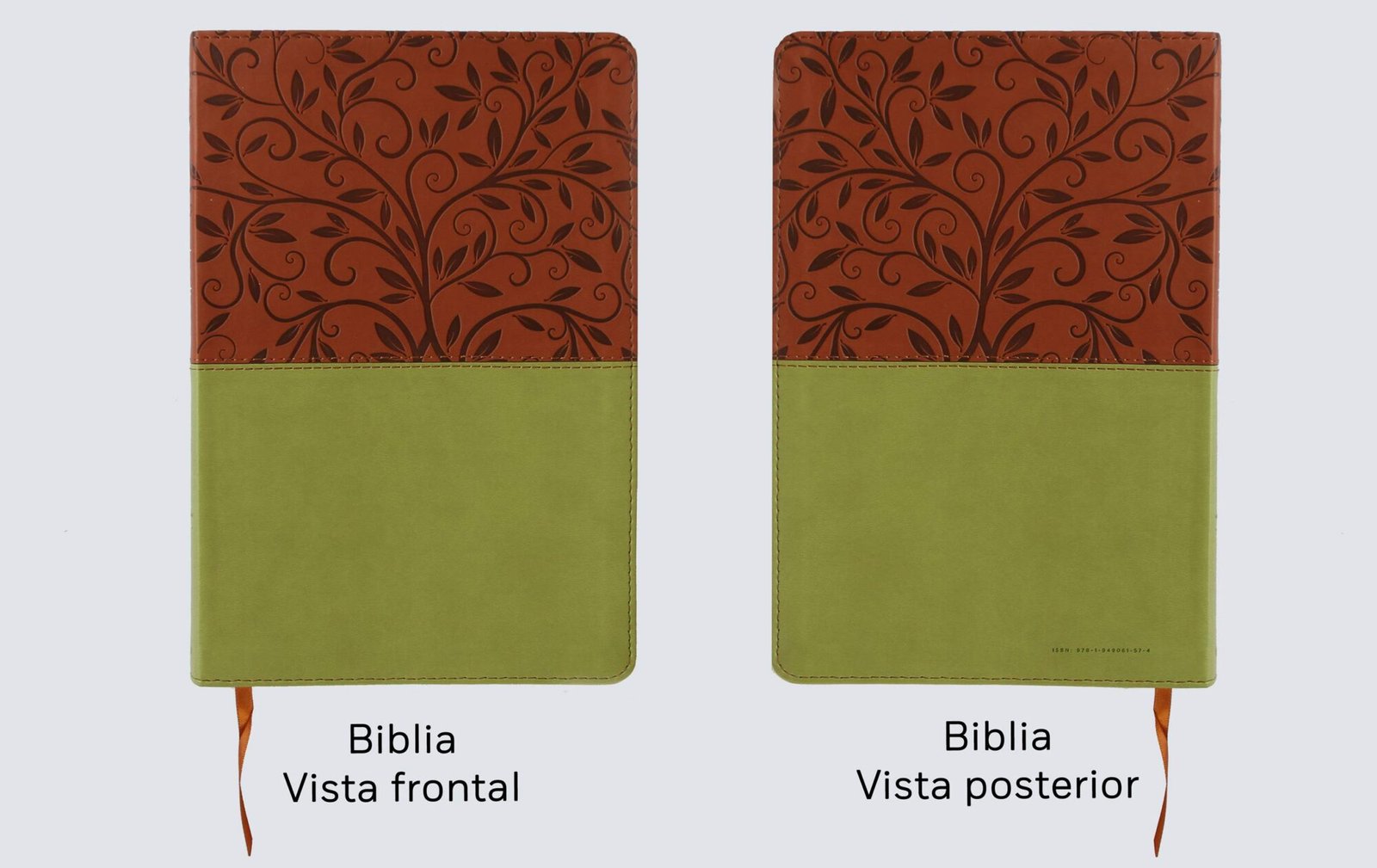 Biblia RVR1960 LG Imitacion Piel Verde-Marron 6 Biblia RVR1960 LG Imitacion Piel Verde-Marron - Image 6