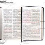 Biblia RVR1960 Letra Grande Imitacion Piel Negra – imagen 2