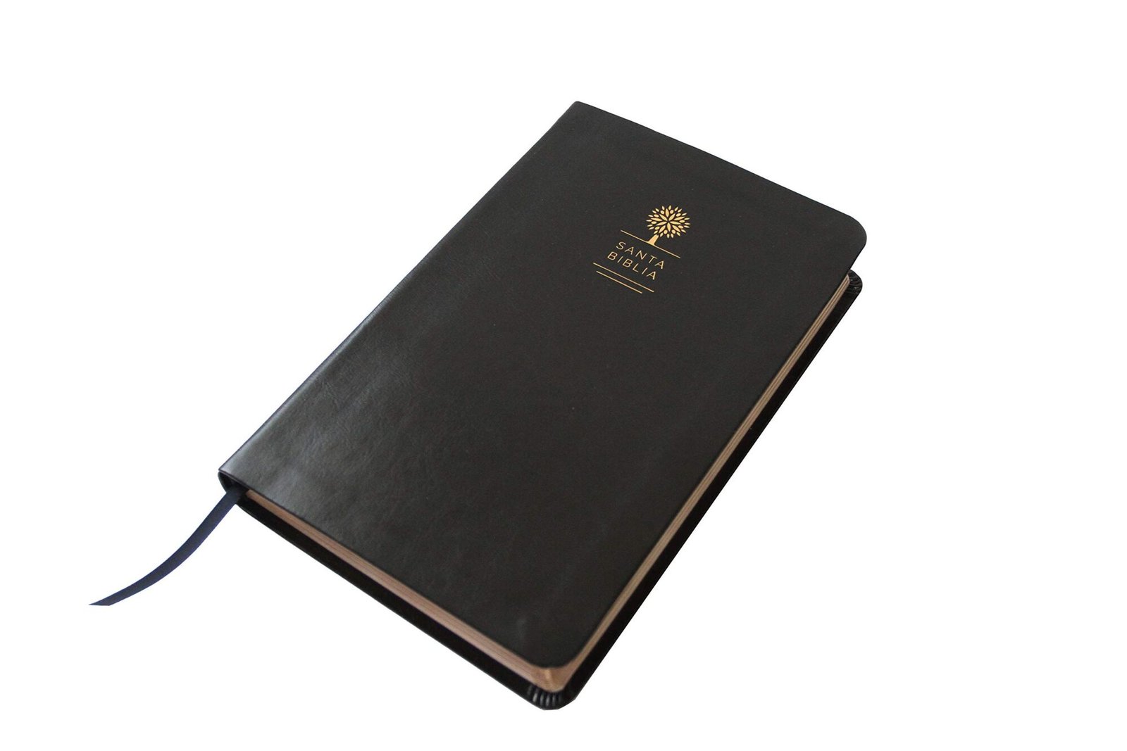 Biblia RVR1960 Letra Grande Imitacion Piel Negra 4 Biblia RVR1960 Letra Grande Imitacion Piel Negra - Image 4