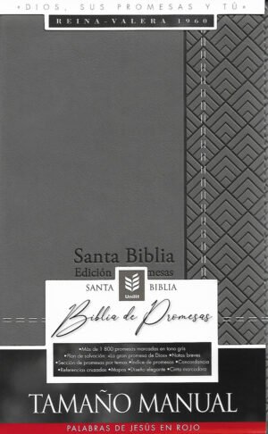 Biblia RVR60 Promesas Manual Imitacion Piel Cierre Gris