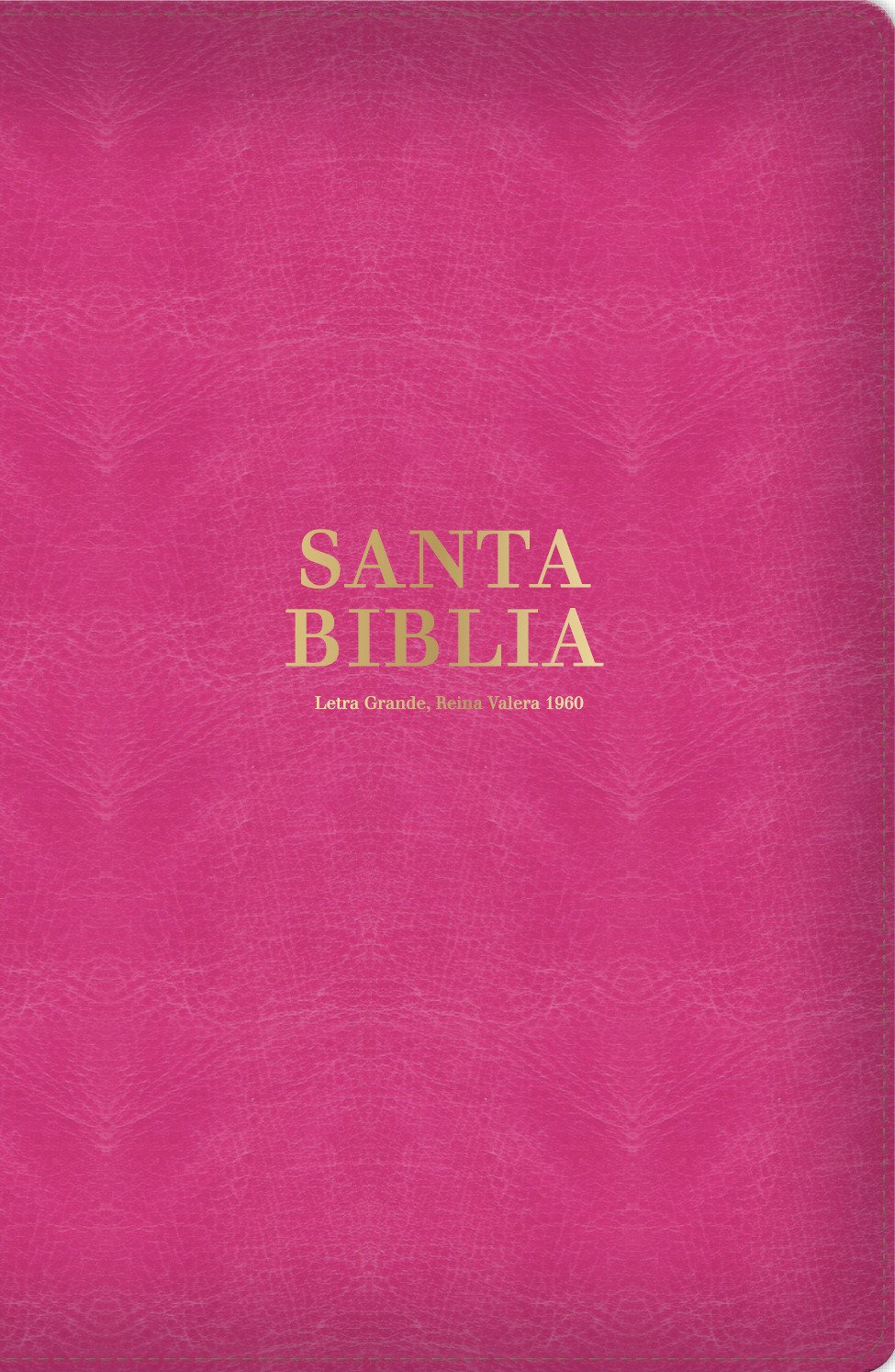 Biblia RVR60 Tamaño LG Rosa Canto Dorado 1 Biblia RVR60 Tamaño LG Rosa Canto Dorado