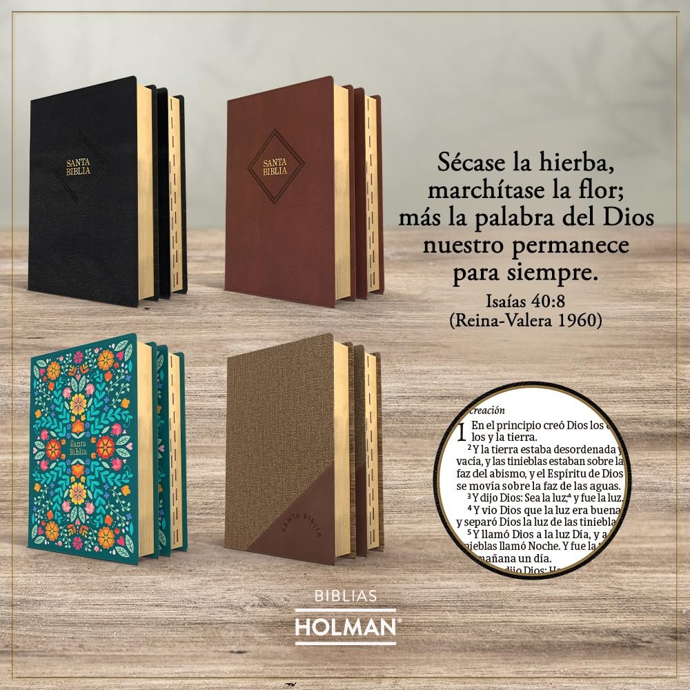 RVR/1960 Biblia Café/Duotono/Piel/2023 5 RVR/1960 Biblia Café/Duotono/Piel/2023 - Image 5