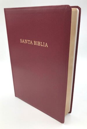 Reina Valera 1960 Letra Super Gigante