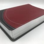 La Biblia en Orden Cronológico RVR60 – imagen 3
