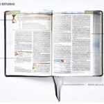 Biblia de Estudio Cronológica NBLA – imagen 3