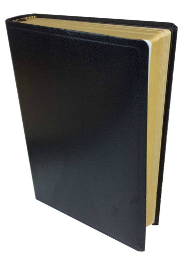 Biblia de estudio NVI 2 Biblia de estudio NVI - Image 2
