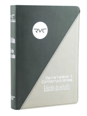 Biblia de Estudio RVR Gris