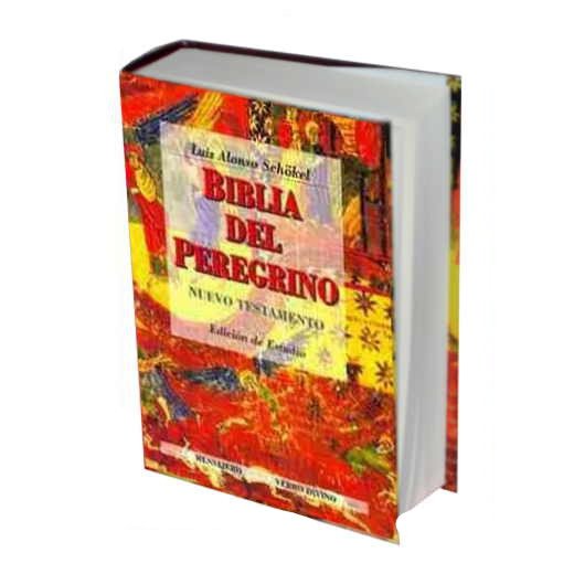 Biblia Del Peregrino III. Nuevo Testamento 1 Biblia Del Peregrino III. Nuevo Testamento