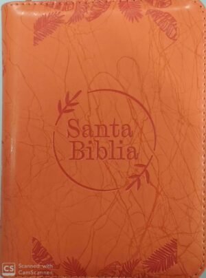 Santa Biblia Naranja SBC Naranja Letra Grande