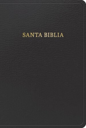 Biblia/RVR/1960  Letra/Grande/Negra