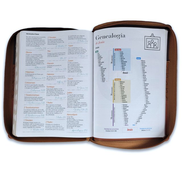 Biblia Letra Gigante 15 puntos RV1960 Tricolor Café 2 Biblia Letra Gigante 15 puntos RV1960 Tricolor Café - Image 2