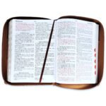 Biblia /RVR6085czti/ LGi PJR/ Tricolor Marron Indice Cierre Canto Dorado – imagen 3