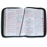 Biblia /RVR6085czti/ LG PJR Expresate Leon Negro-Gris Indice Cierre Canto Dorado – imagen 3