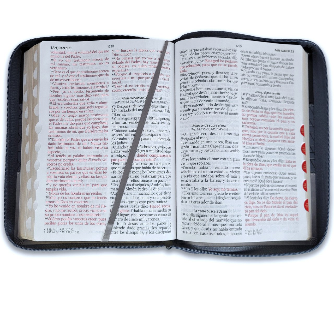 Biblia Letra Gigante 15 puntos RV1960 Tricolor Negro y Gris 3 Biblia Letra Gigante 15 puntos RV1960 Tricolor Negro y Gris - Image 3