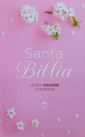 Biblia RVR60 Letra Grande Rosada
