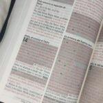 Biblia de promesas manual – imagen 6