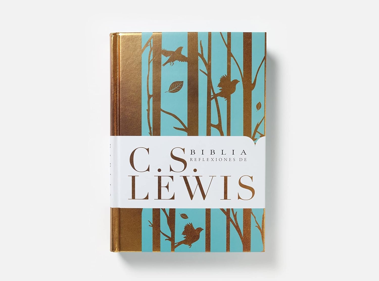 Biblia RVR 1977 Reflexiones de C.S. Lewis Turquesa Símil Piel 5 Biblia RVR 1977 Reflexiones de C.S. Lewis Turquesa Símil Piel - Image 5