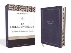 Biblia Catolica  9781400238101