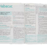 Biblia Esquematizada – imagen 3