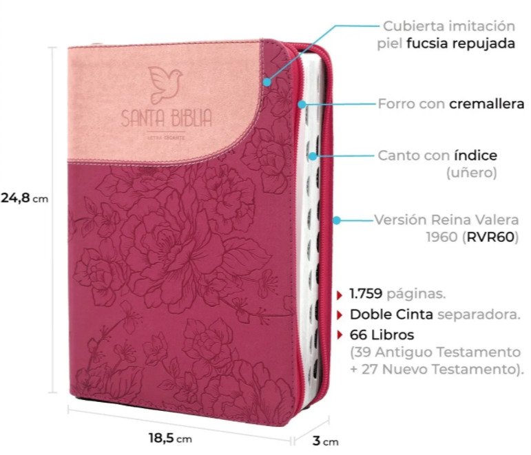RVR60 Biblia 086 Color Fucsia Rosa/ 4 RVR60 Biblia 086 Color Fucsia Rosa/ - Image 4