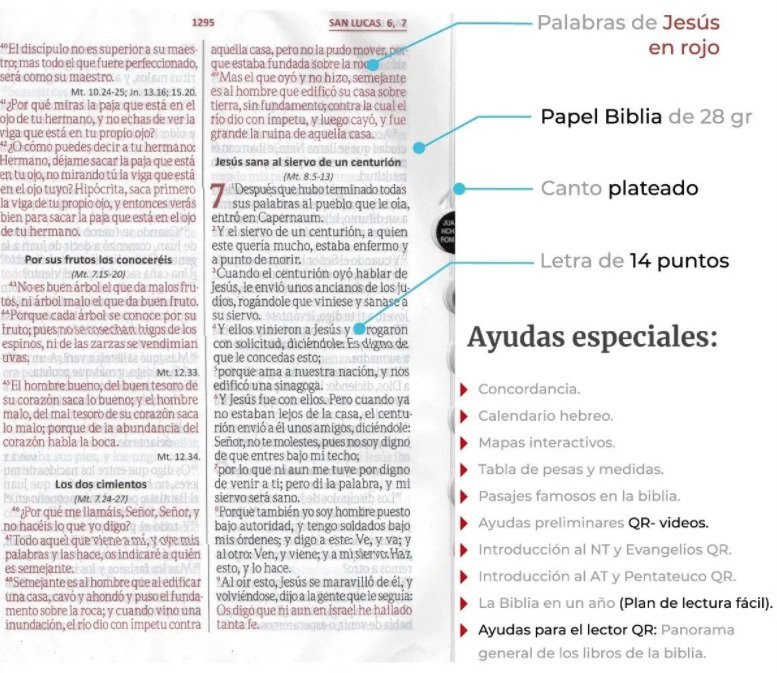 RVR60 Biblia 086 Color Fucsia Rosa/ 5 RVR60 Biblia 086 Color Fucsia Rosa/ - Image 5