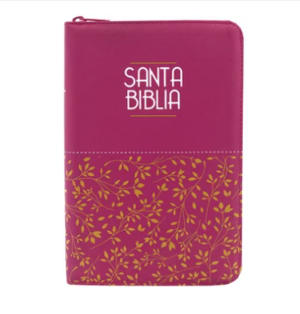 Biblia Letra Grande Con Cierre Fucsia