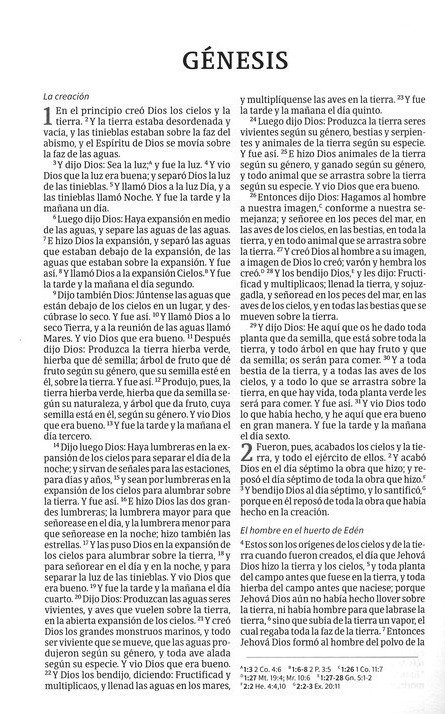 Biblia RVR60 Misionera Tapa Rustica Azul 2 Biblia RVR60 Misionera Tapa Rustica Azul - Image 2