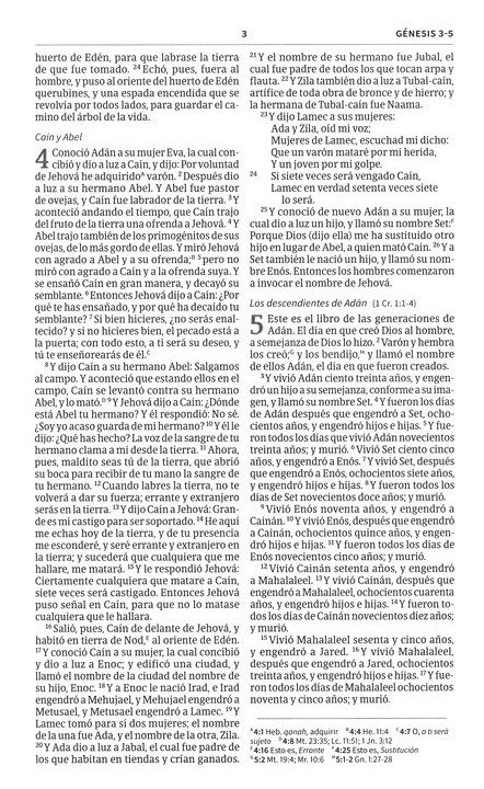 Biblia RVR60 Misionera Tapa Rustica Azul 3 Biblia RVR60 Misionera Tapa Rustica Azul - Image 3