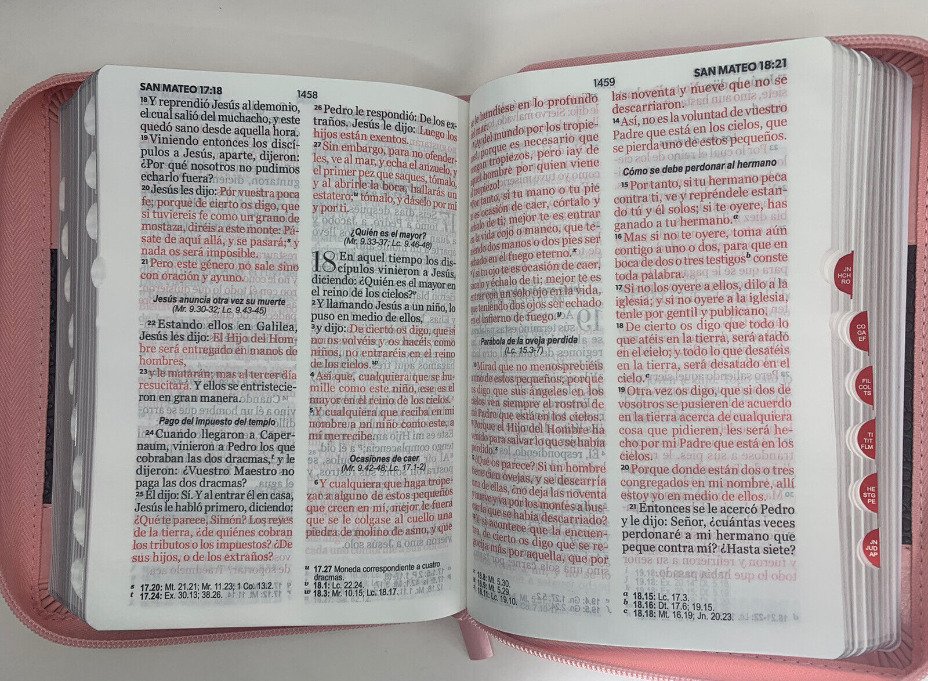 Biblia Reina Valera 1960 045 LG rosa/café 2 Biblia Reina Valera 1960 045 LG rosa/café - Image 2