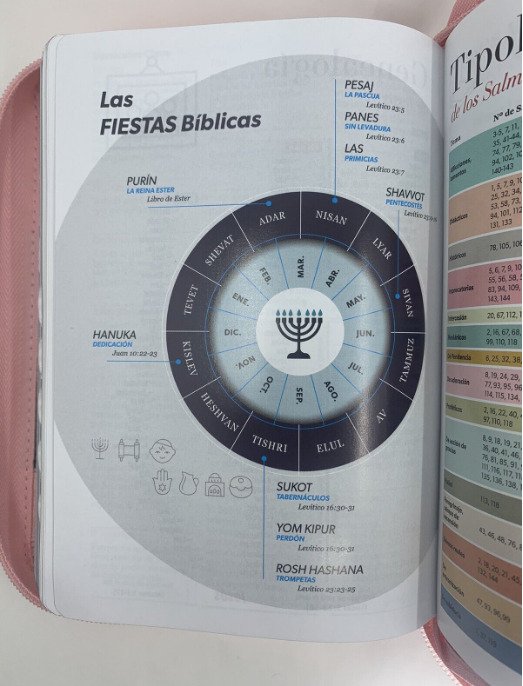 Biblia Reina Valera 1960 045 LG rosa/café 3 Biblia Reina Valera 1960 045 LG rosa/café - Image 3