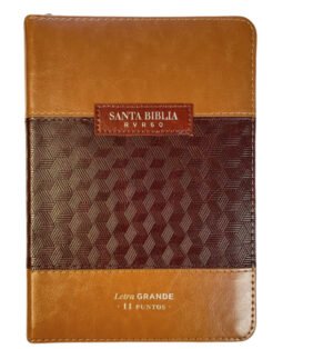 Biblia Reina Valera 1960 045 LG café con Indice